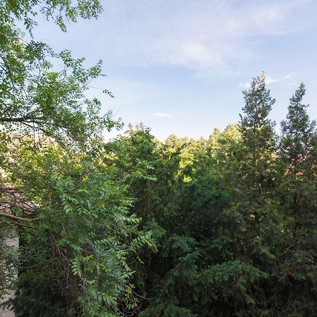 Exotic Rami'S Apartments Temeşvar Dış mekan fotoğraf