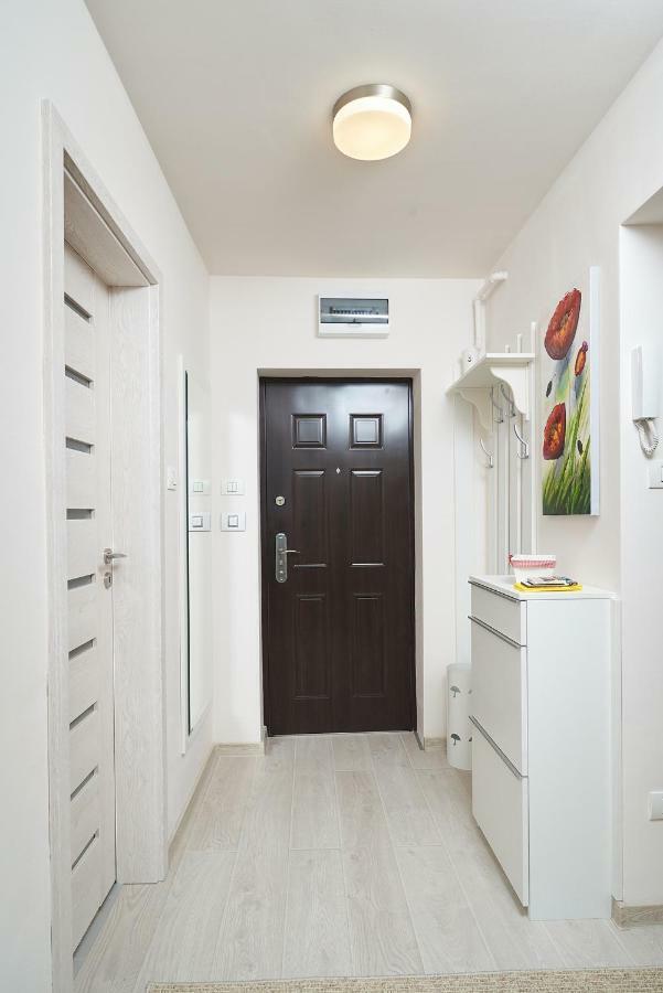Exotic Rami'S Apartments Temeşvar Dış mekan fotoğraf